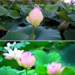 피드에 업로드 된 이미지