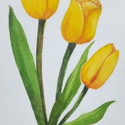 피드에 업로드 된 이미지