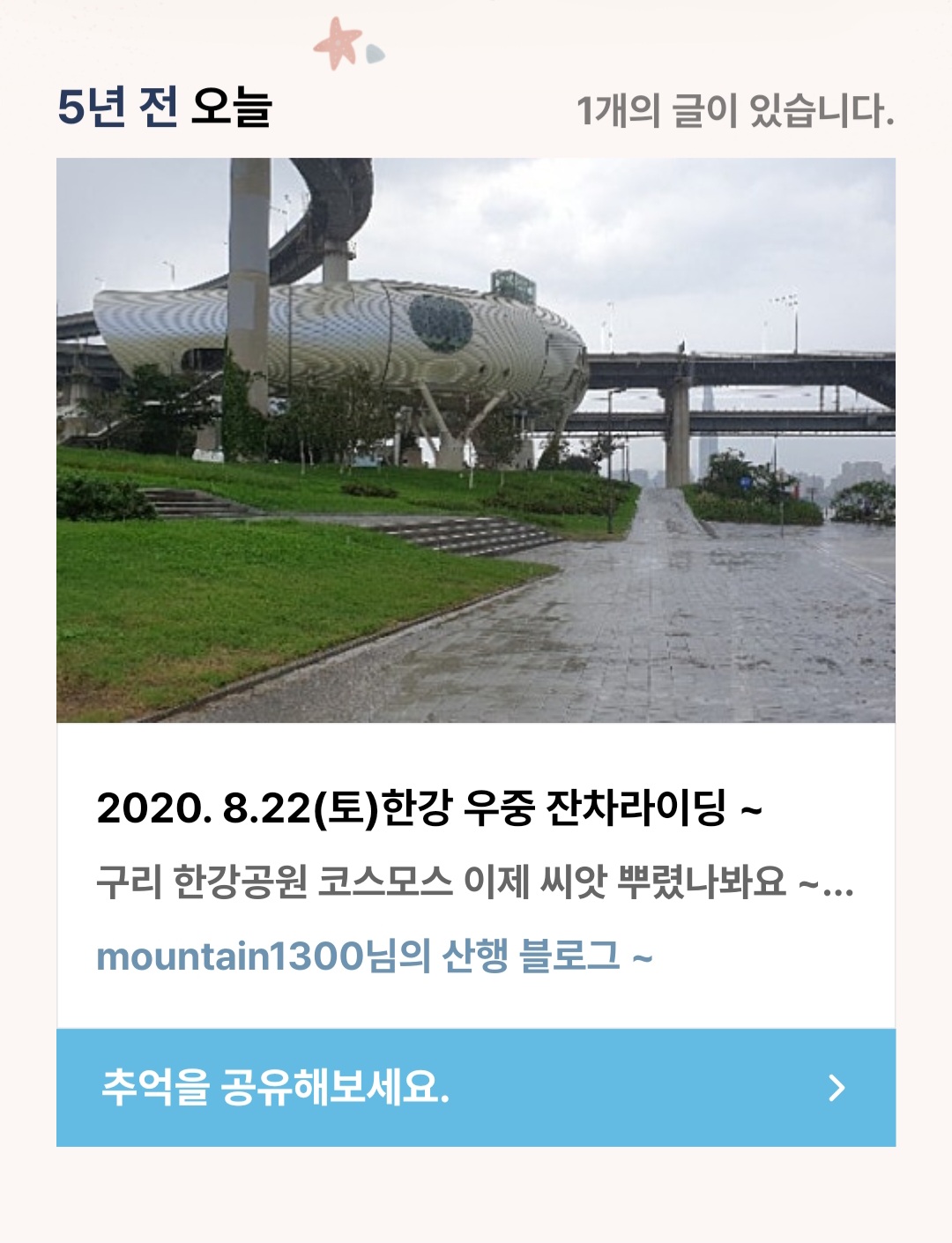 피드 이미지