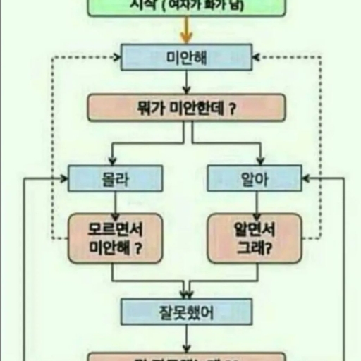 피드 이미지