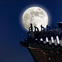 피드에 업로드 된 이미지