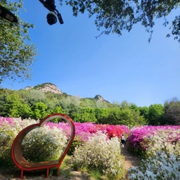 피드에 업로드 된 이미지