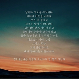 피드에 업로드 된 이미지