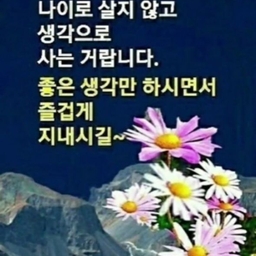 피드에 업로드 된 이미지