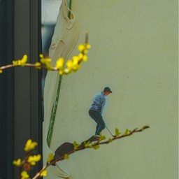 피드에 업로드 된 이미지