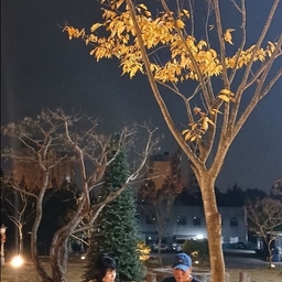 피드에 업로드 된 이미지