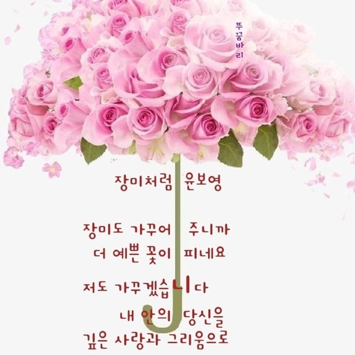 피드 이미지