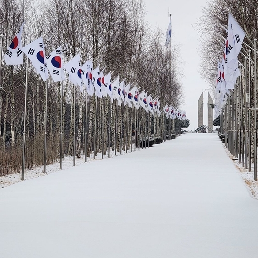 피드 이미지