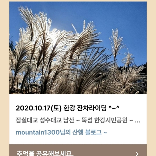 피드 이미지