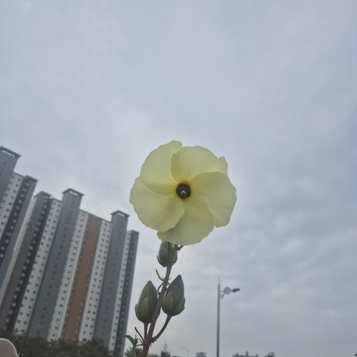 피드 이미지