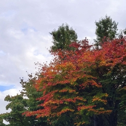 ํผ๋์ ์
๋ก๋ ๋ ์ด๋ฏธ์ง