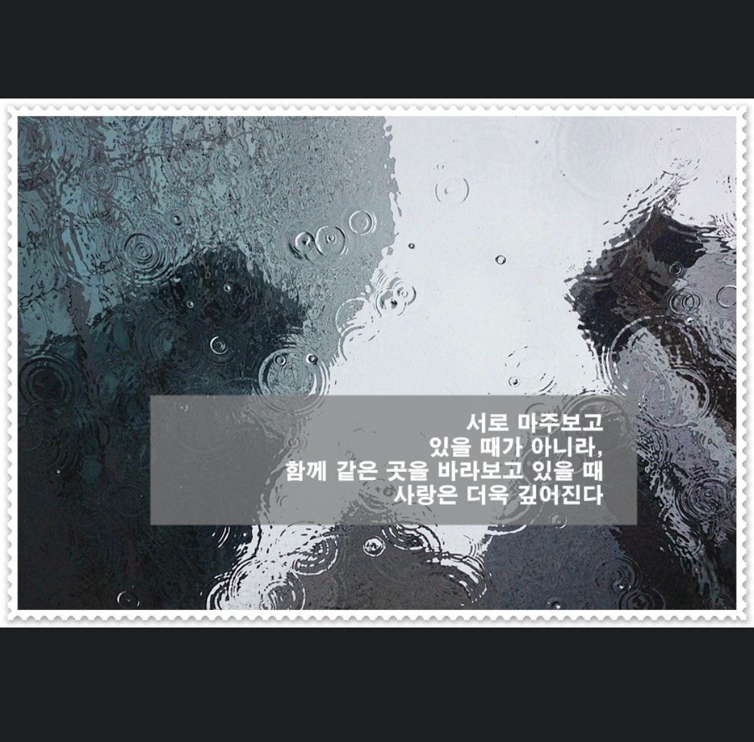 피드 이미지