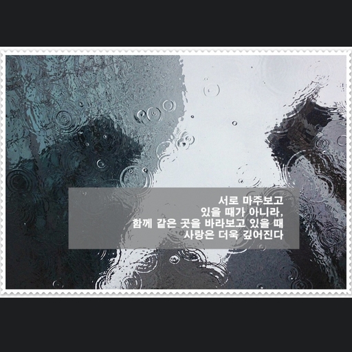 피드 이미지