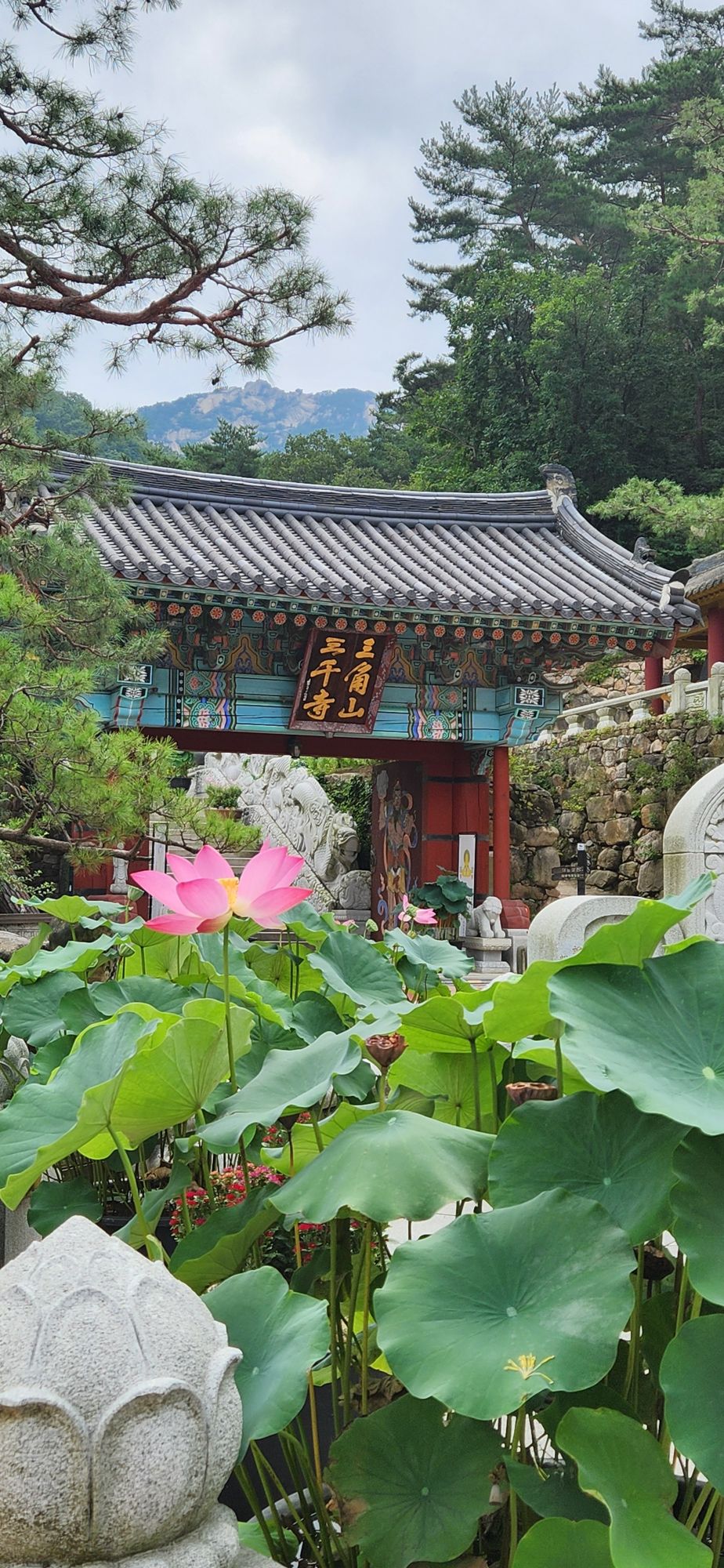 피드 이미지