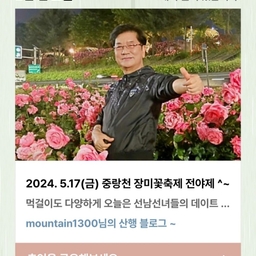 피드에 업로드 된 이미지