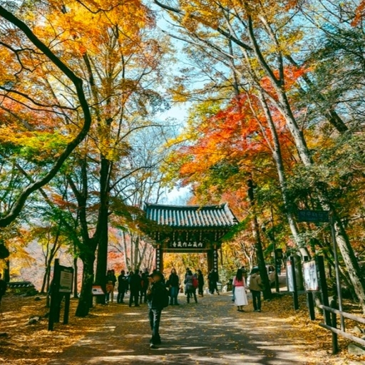피드 이미지