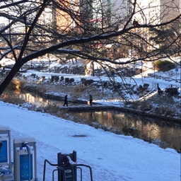 피드에 업로드 된 이미지