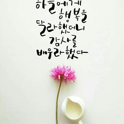 피드에 업로드 된 이미지