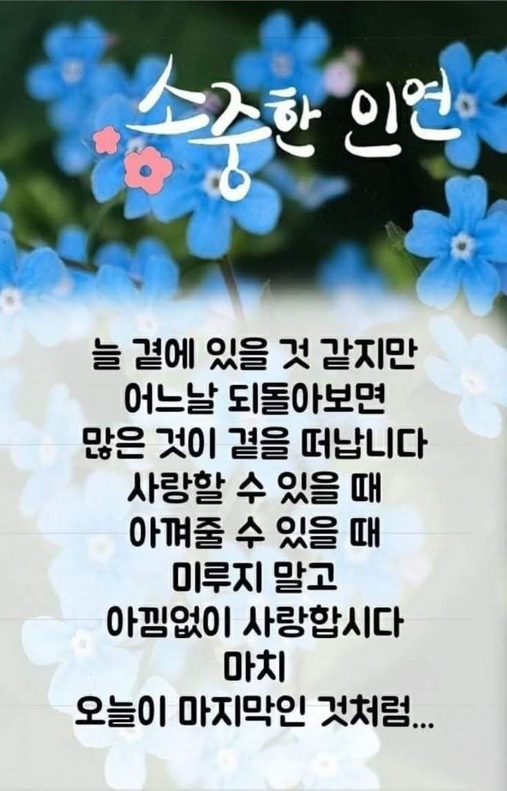 피드에 업로드 된 이미지