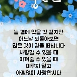 피드에 업로드 된 이미지