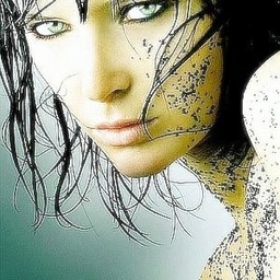 피드에 업로드 된 이미지