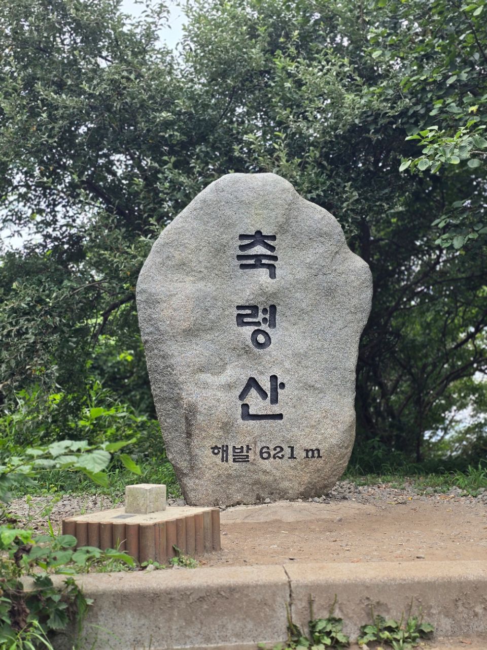 피드 이미지