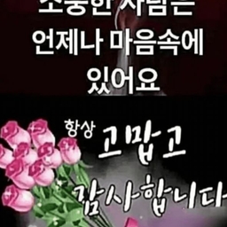 피드에 업로드 된 이미지