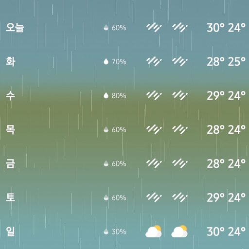 피드 이미지