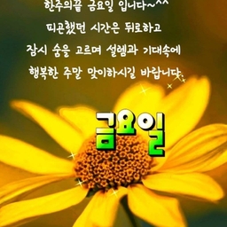 ํผ๋์ ์
๋ก๋ ๋ ์ด๋ฏธ์ง