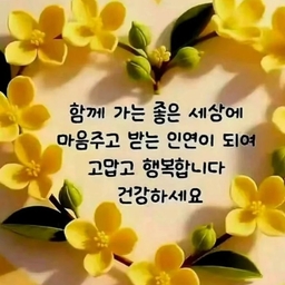 피드에 업로드 된 이미지