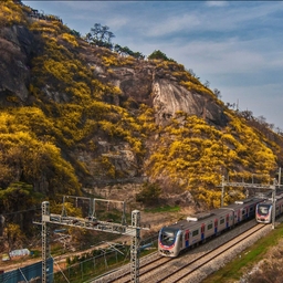 피드에 업로드 된 이미지