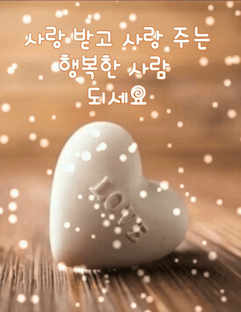 피드에 업로드 된 이미지