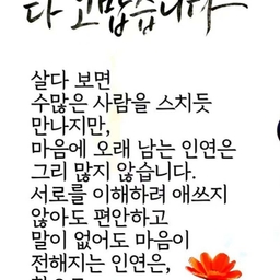 피드에 업로드 된 이미지
