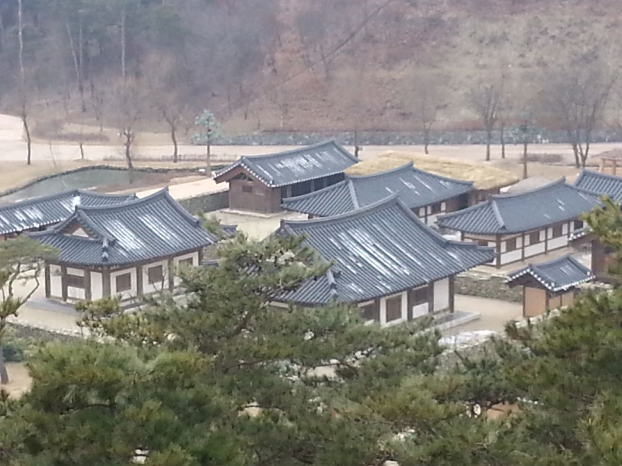 피드 이미지