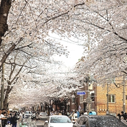 피드에 업로드 된 이미지