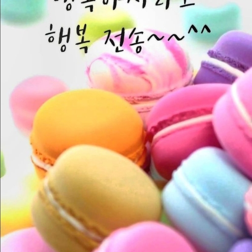 피드 이미지