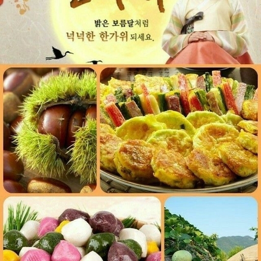 피드 이미지