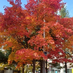 ํผ๋์ ์
๋ก๋ ๋ ์ด๋ฏธ์ง