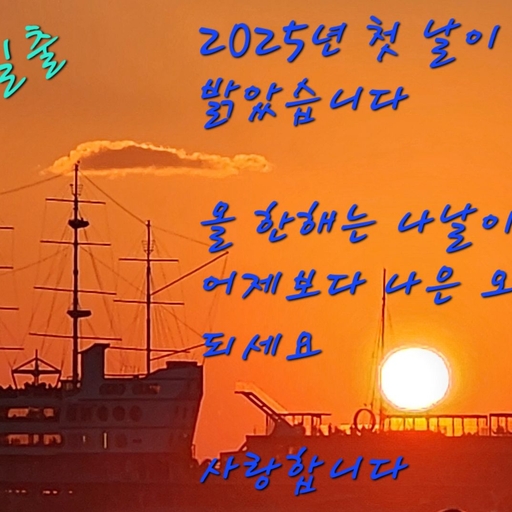 피드 이미지