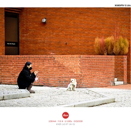 피드에 업로드 된 이미지