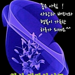 피드에 업로드 된 이미지