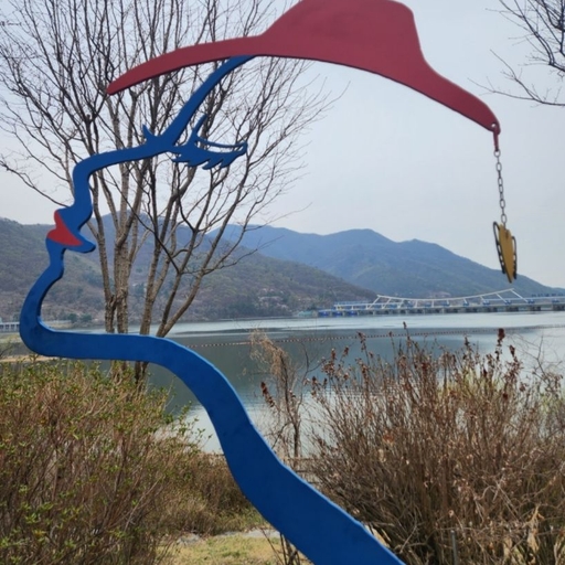 피드 이미지