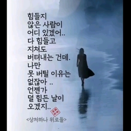 피드에 업로드 된 이미지