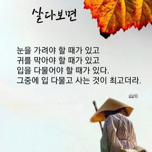 피드 이미지