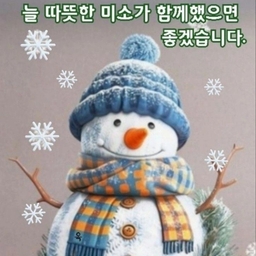 피드에 업로드 된 이미지