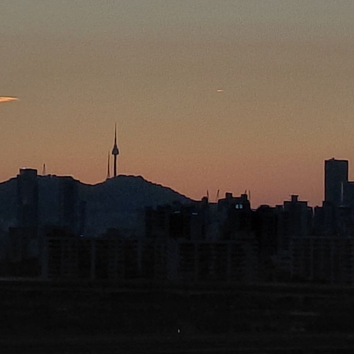피드 이미지