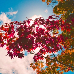 피드에 업로드 된 이미지