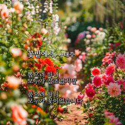 피드에 업로드 된 이미지