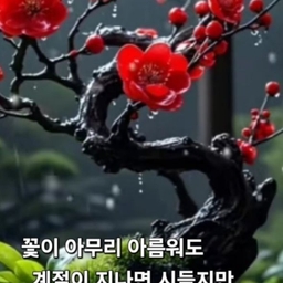 피드에 업로드 된 이미지