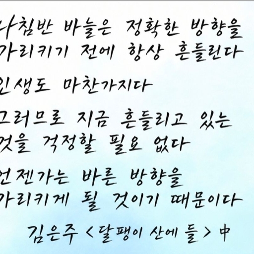 피드 이미지